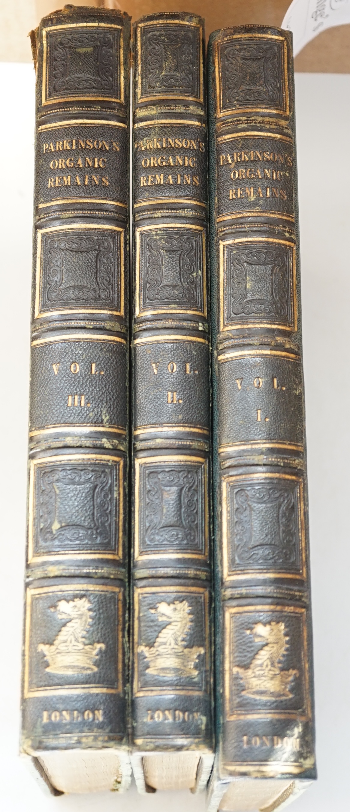 Parkinson, James - Organic Remains of a Former World. An Examination of the Mineralized Remains of Vegetables and Animals of the Antediluvian World; Generally Termed Extraneous Fossils, 3 vols, each with engraved frontis